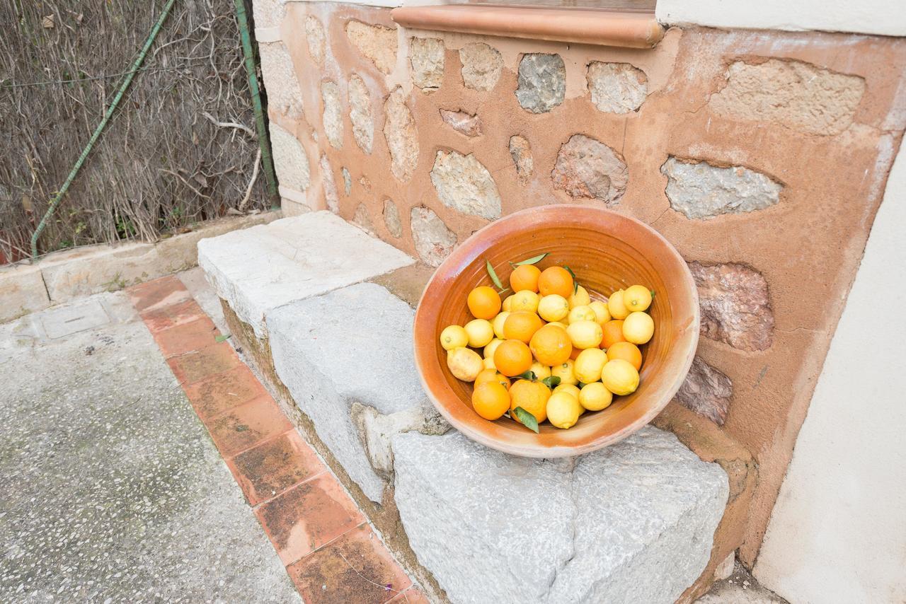 Can Raia Soller Bagian luar foto